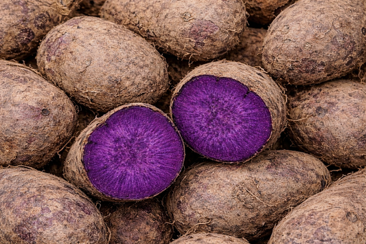 The Origin of Purple: What is Ube?